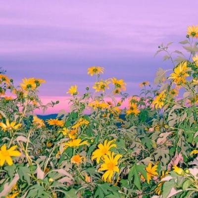 江南娱乐体育官网入口