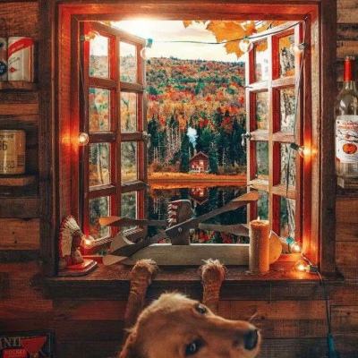 星空官方网站入口