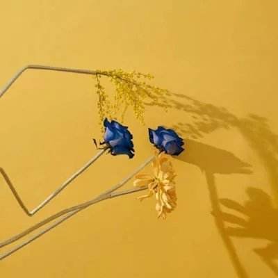 BET体育365投注官网手机app下载