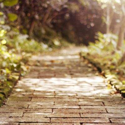 2023澳门管家婆资料正版大全