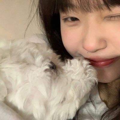 双彩网手机app下载